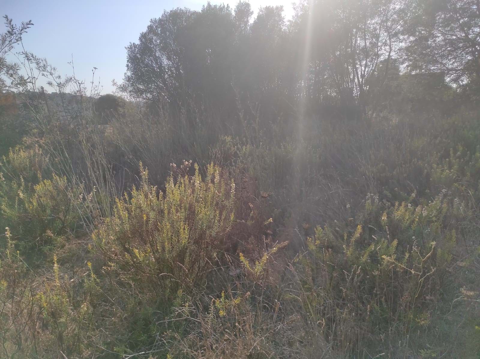 Land, For Sale Land, For Sale