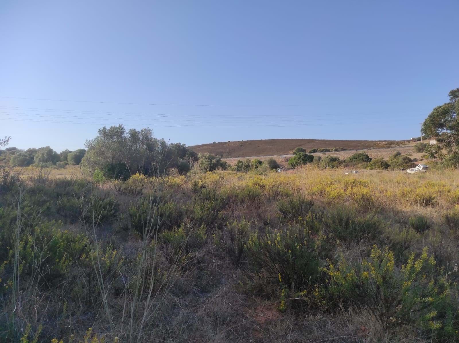 Land, For Sale Land, For Sale
