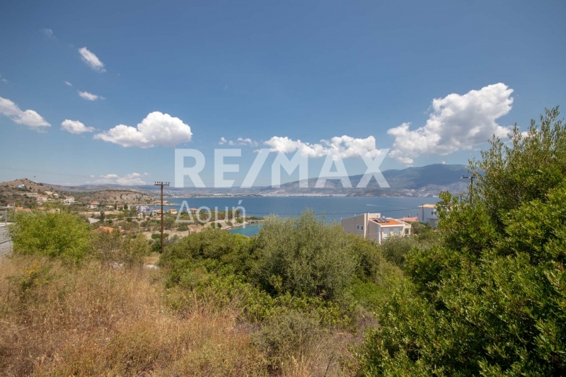 Land, For Sale Land, For Sale