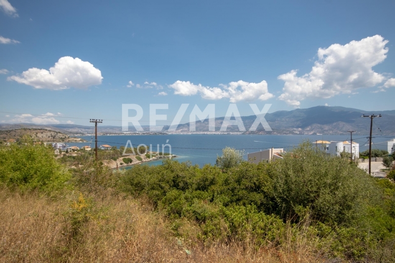 Land, For Sale Land, For Sale