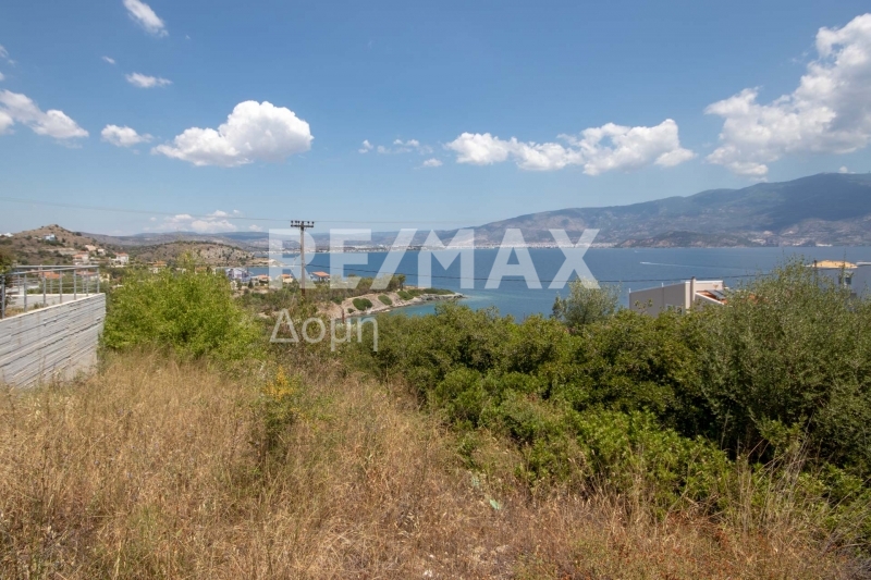 Land, For Sale Land, For Sale