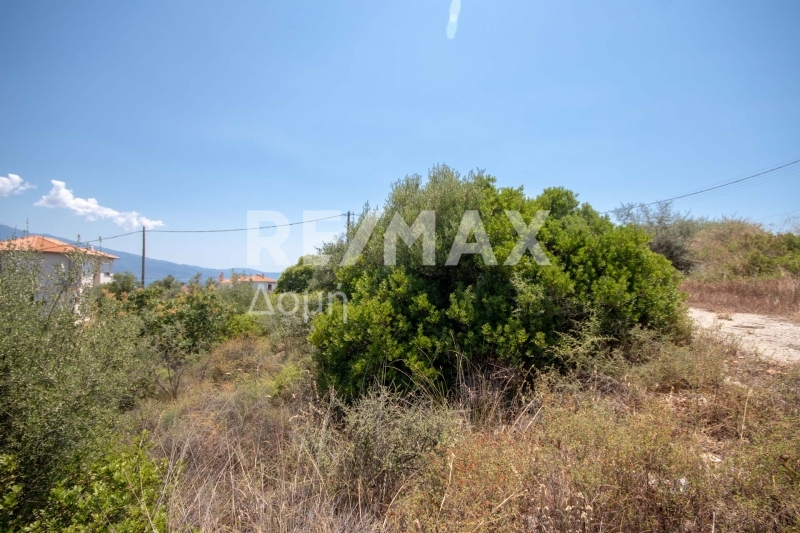 Land, For Sale Land, For Sale
