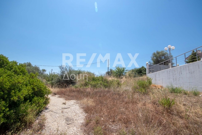 Land, For Sale Land, For Sale