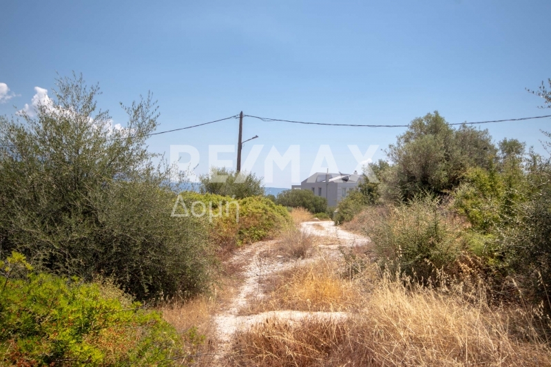 Land, For Sale Land, For Sale
