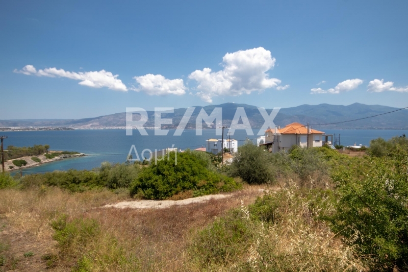Land, For Sale Land, For Sale