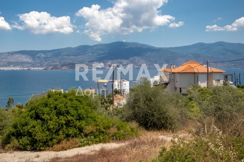 Land, For Sale Land, For Sale