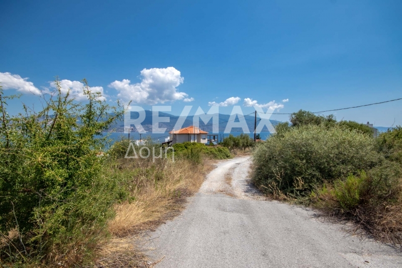 Land, For Sale Land, For Sale