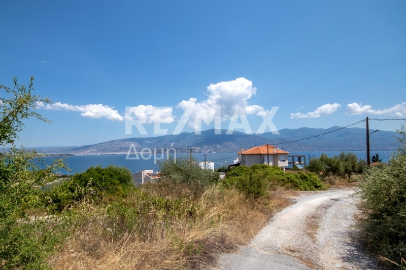 Land, For Sale Land, For Sale