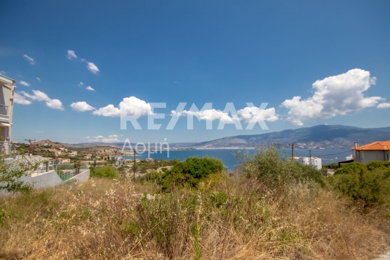 Land, For Sale Land, For Sale