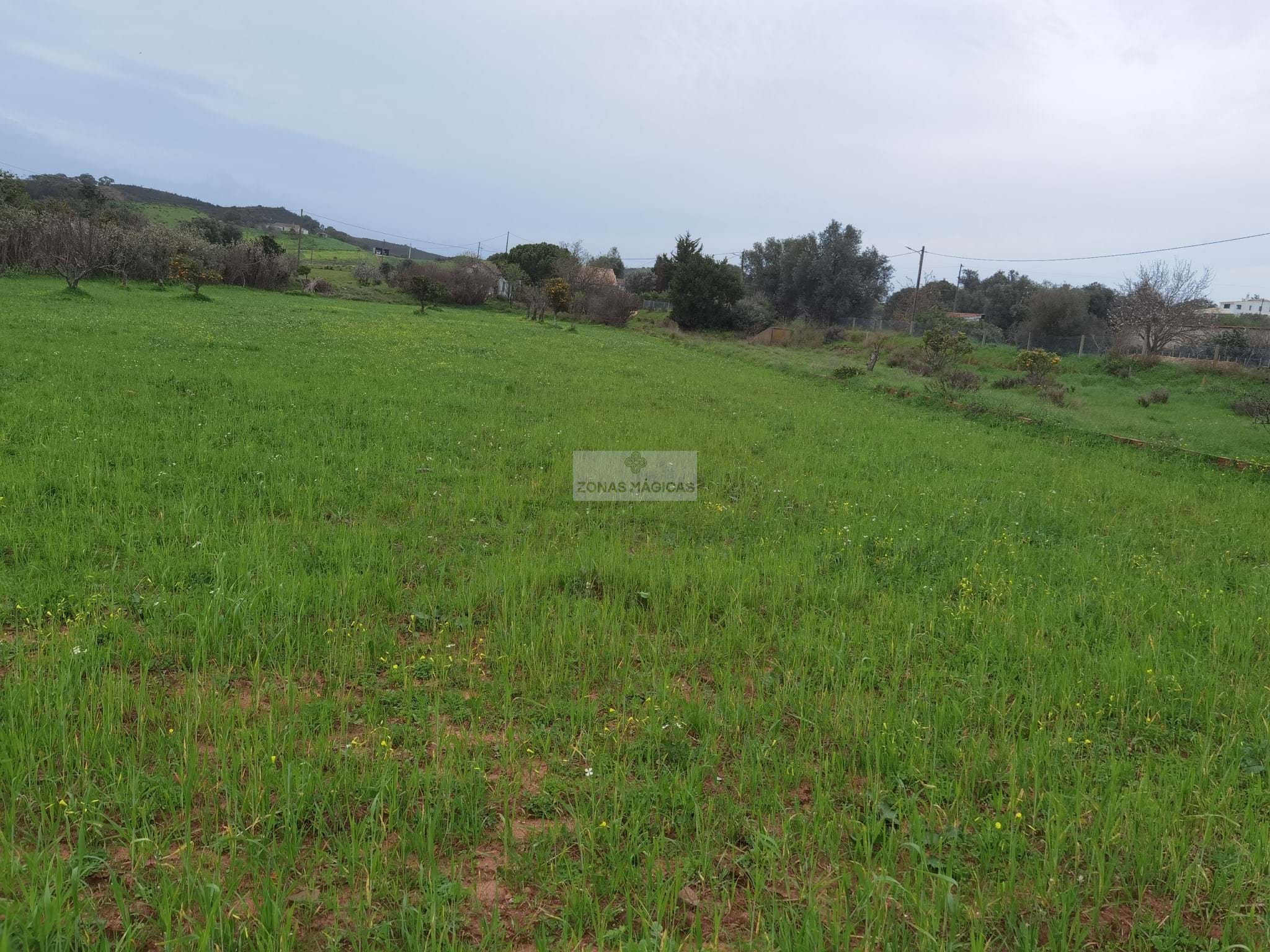 Land, For Sale Land, For Sale