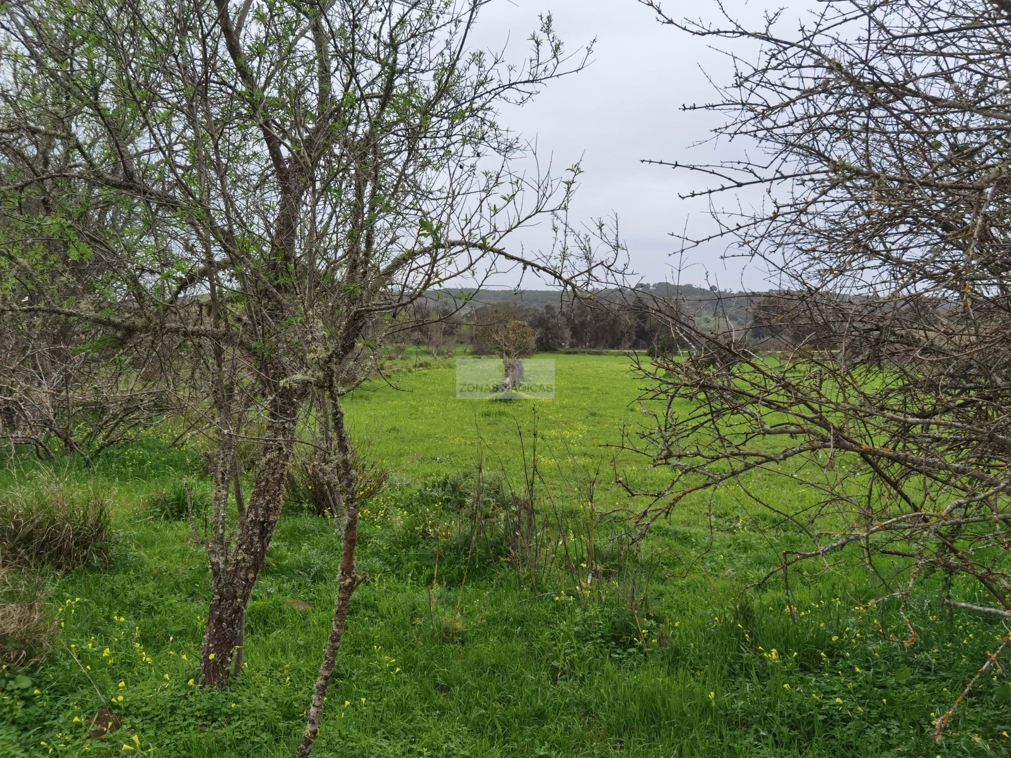 Land, For Sale Land, For Sale