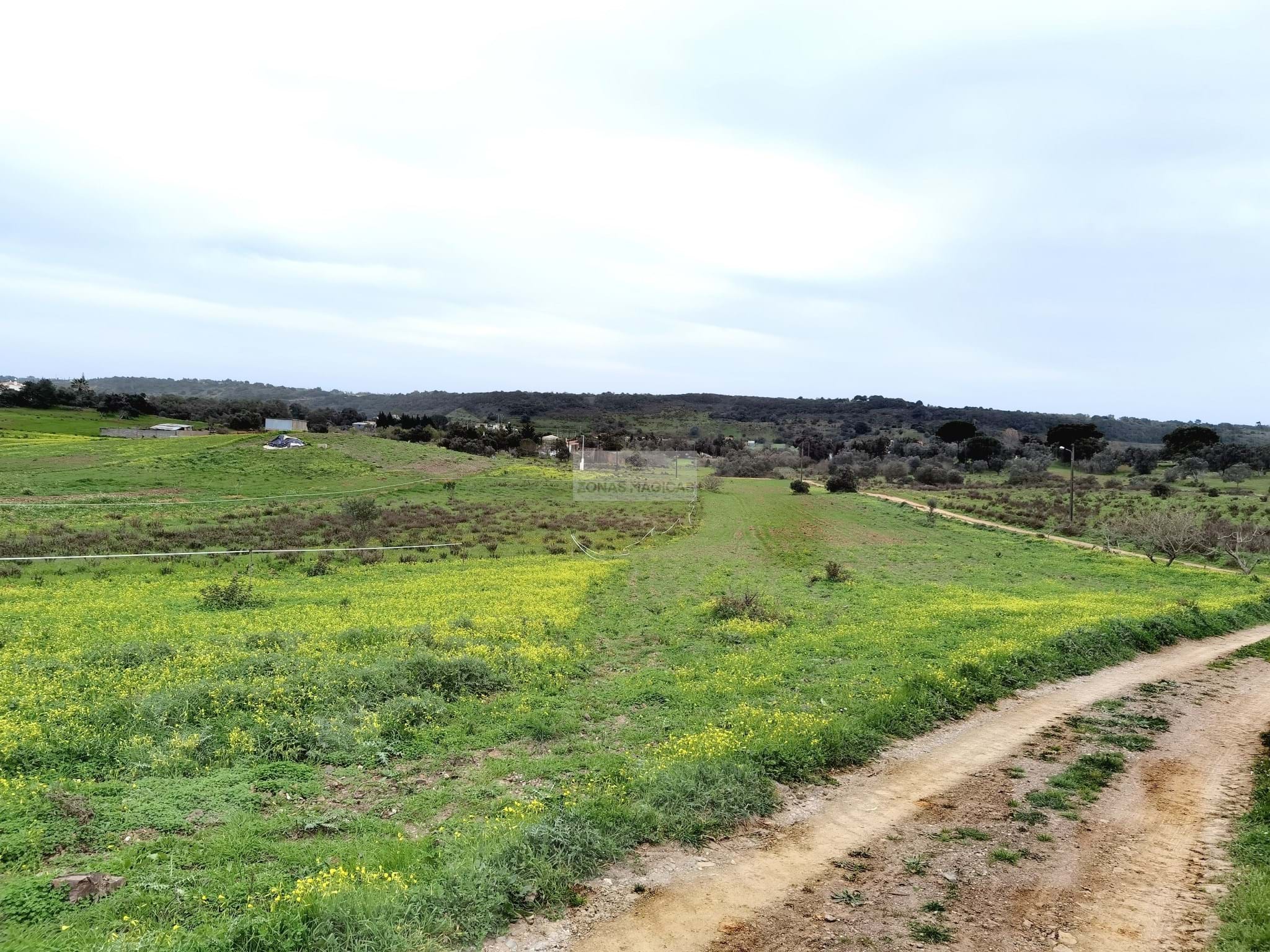 Land, For Sale Land, For Sale