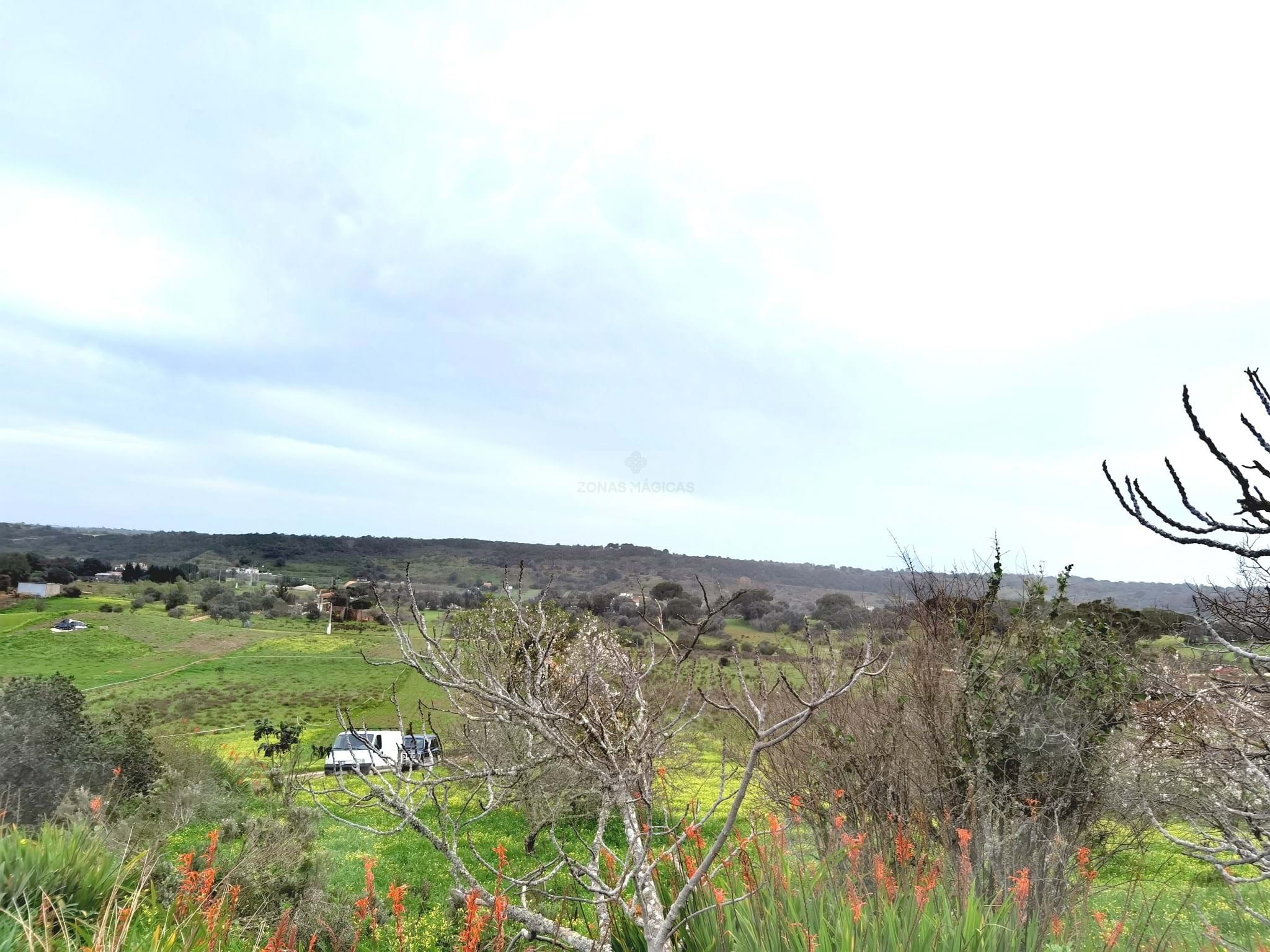 Land, For Sale Land, For Sale