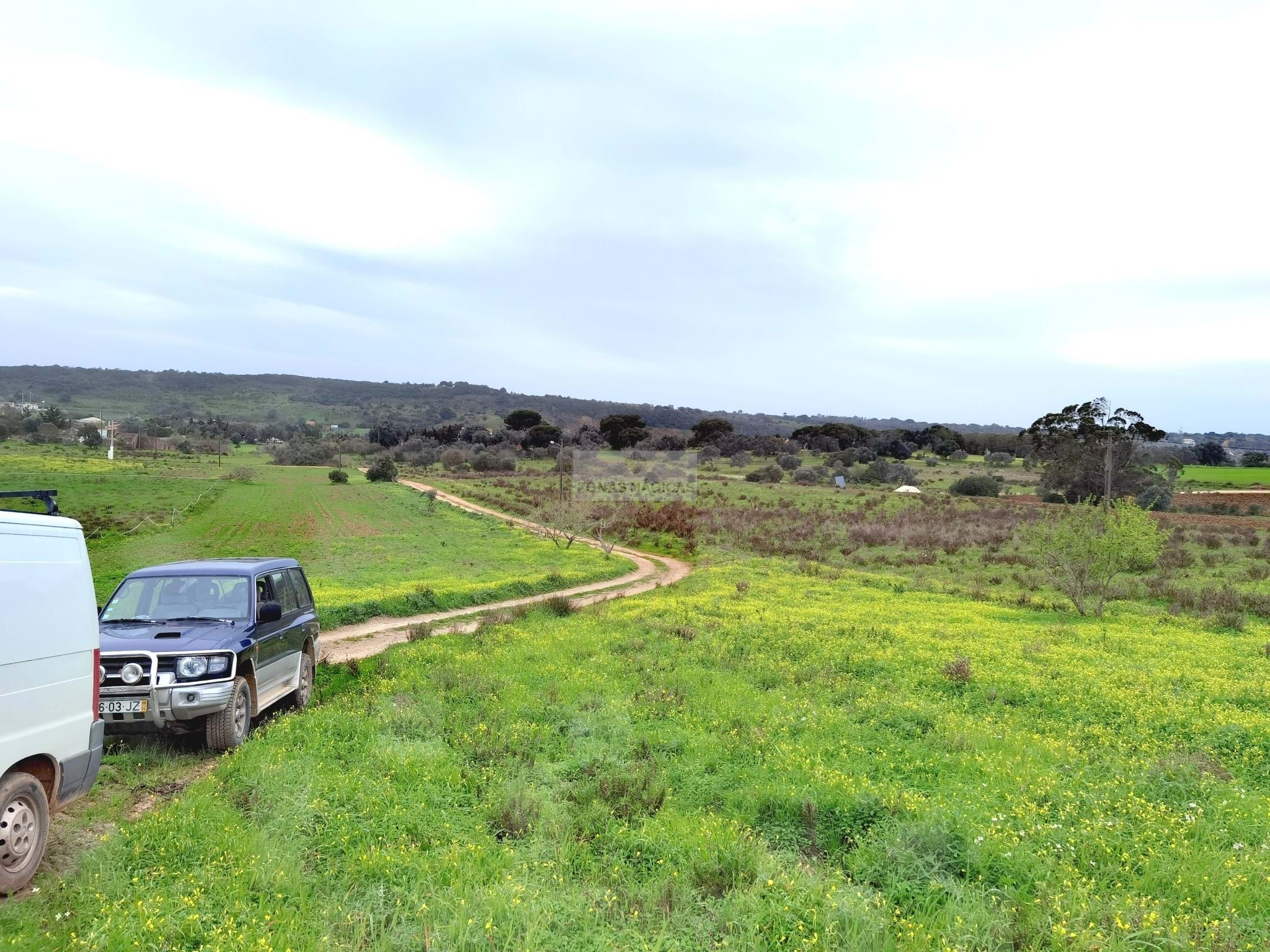 Land, For Sale Land, For Sale
