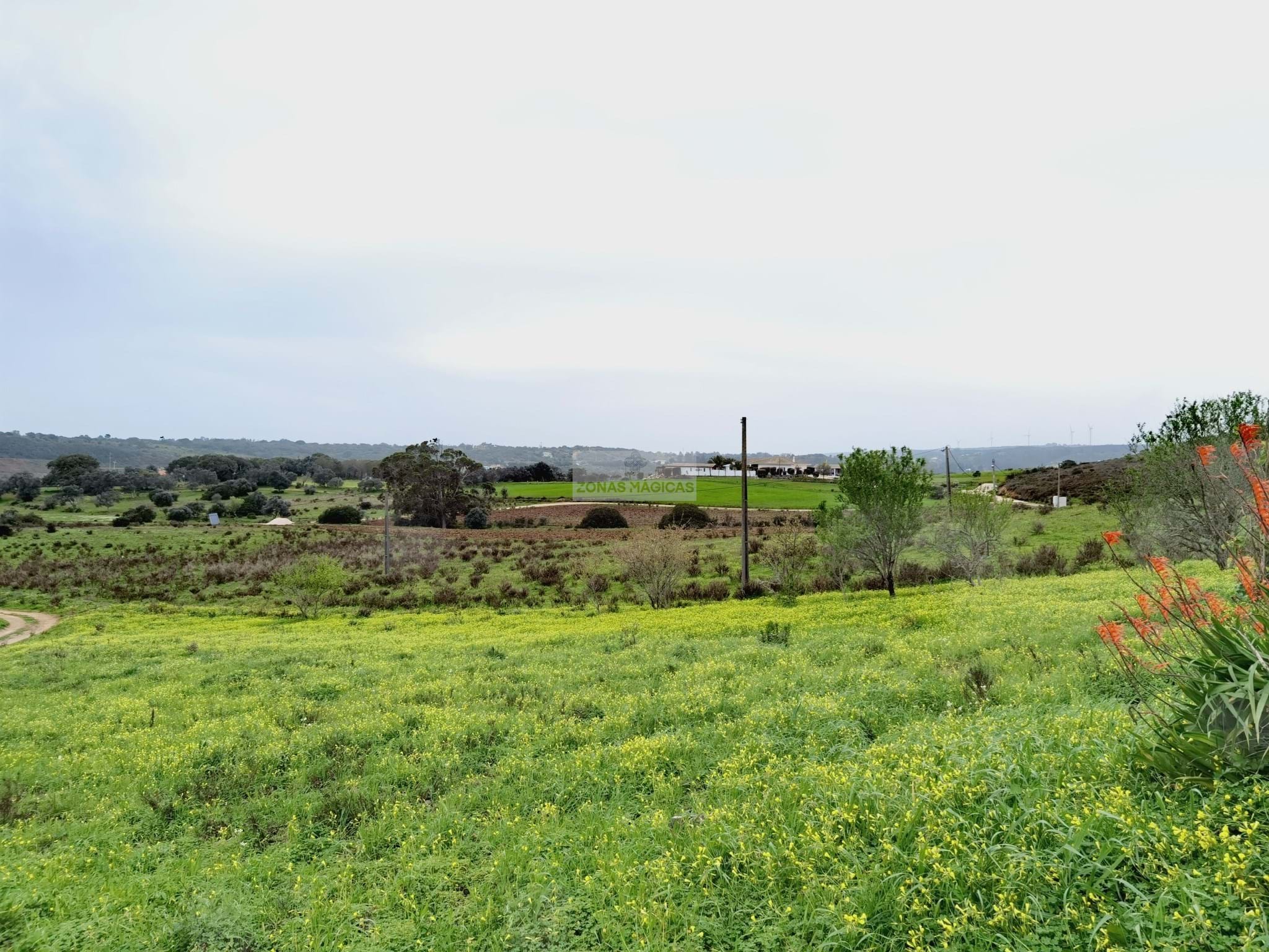 Land, For Sale Land, For Sale