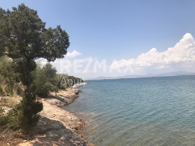 HouseFor Sale, Amaliapoli, Sourpi, Magnesia HouseFor Sale, Amaliapoli, Sourpi, Magnesia