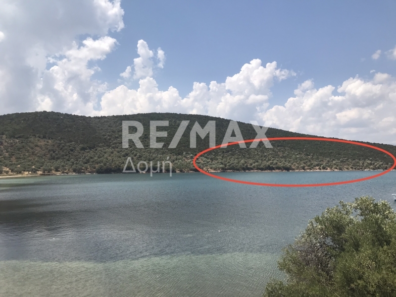 HouseFor Sale, Amaliapoli, Sourpi, Magnesia HouseFor Sale, Amaliapoli, Sourpi, Magnesia