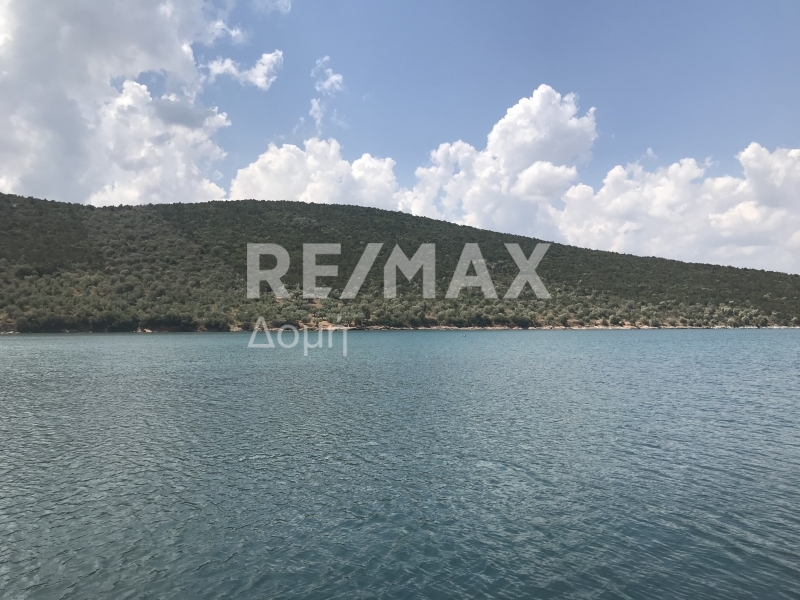 HouseFor Sale, Amaliapoli, Sourpi, Magnesia HouseFor Sale, Amaliapoli, Sourpi, Magnesia