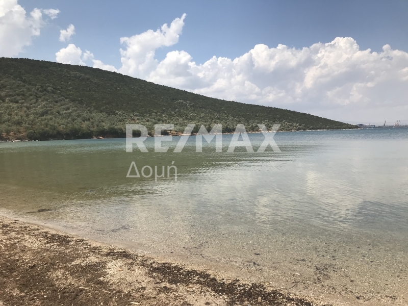 HouseFor Sale, Amaliapoli, Sourpi, Magnesia HouseFor Sale, Amaliapoli, Sourpi, Magnesia