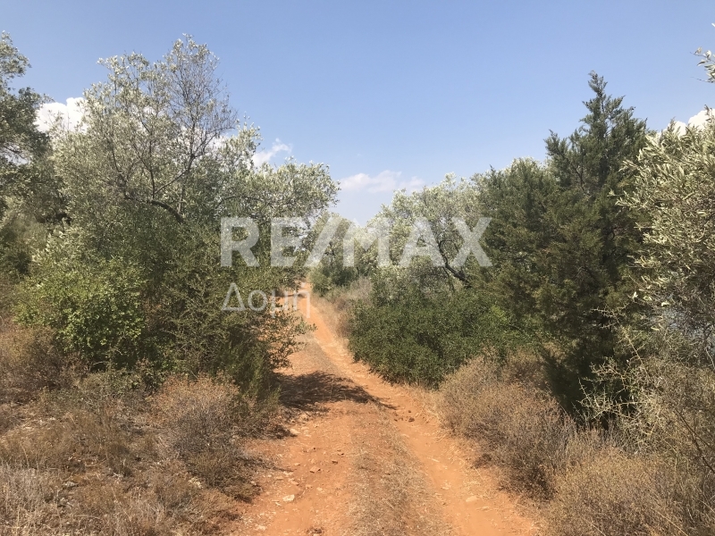 HouseFor Sale, Amaliapoli, Sourpi, Magnesia HouseFor Sale, Amaliapoli, Sourpi, Magnesia