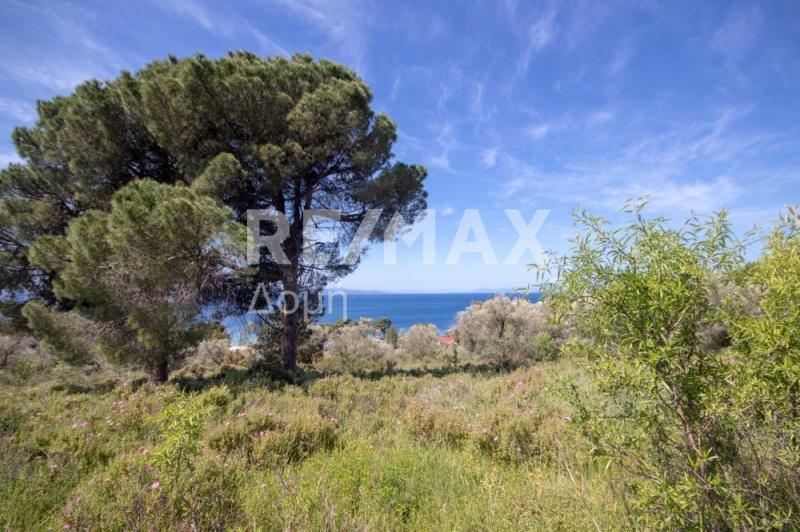 HouseFor Sale, Kolios, Skiathos, Sporades HouseFor Sale, Kolios, Skiathos, Sporades