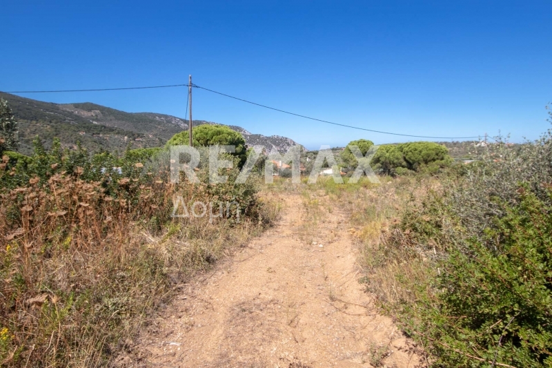 HouseFor Sale, Kalivia, Skiathos, Sporades HouseFor Sale, Kalivia, Skiathos, Sporades