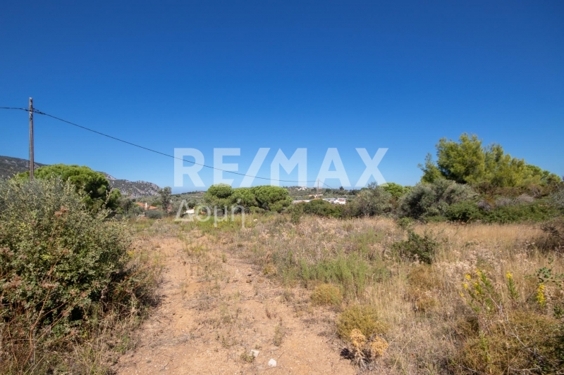 HouseFor Sale, Kalivia, Skiathos, Sporades HouseFor Sale, Kalivia, Skiathos, Sporades