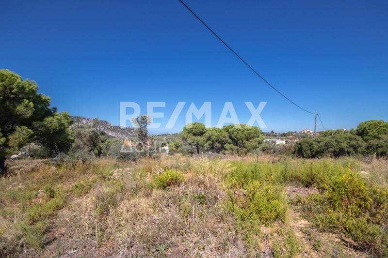 HouseFor Sale, Kalivia, Skiathos, Sporades HouseFor Sale, Kalivia, Skiathos, Sporades