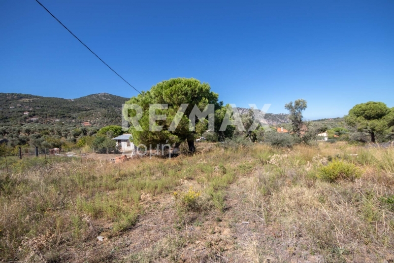 HouseFor Sale, Kalivia, Skiathos, Sporades HouseFor Sale, Kalivia, Skiathos, Sporades