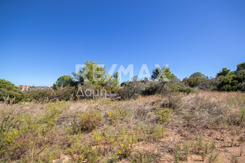 HouseFor Sale, Kalivia, Skiathos, Sporades HouseFor Sale, Kalivia, Skiathos, Sporades