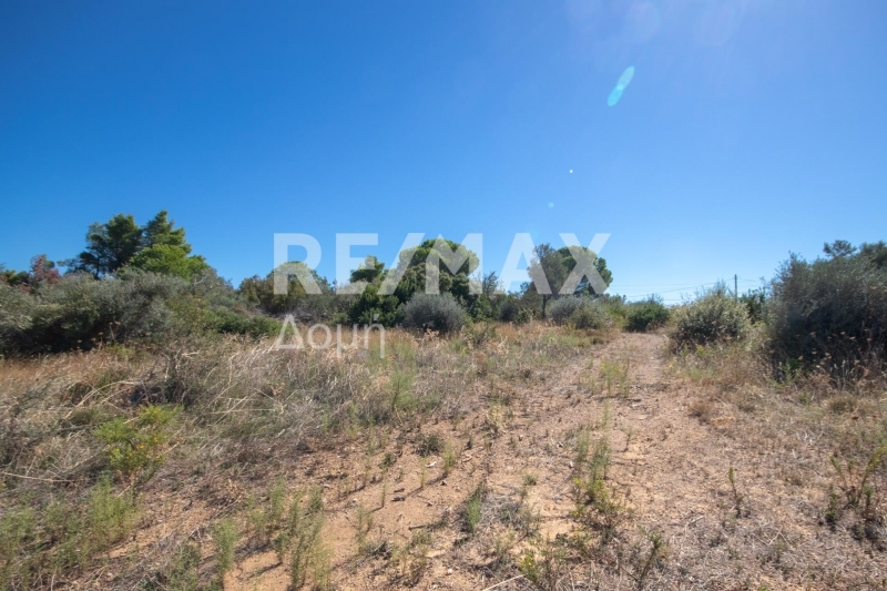 HouseFor Sale, Kalivia, Skiathos, Sporades HouseFor Sale, Kalivia, Skiathos, Sporades