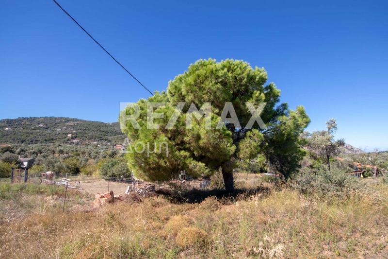 HouseFor Sale, Kalivia, Skiathos, Sporades HouseFor Sale, Kalivia, Skiathos, Sporades