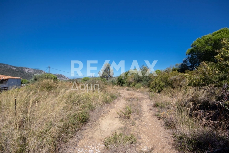 HouseFor Sale, Kalivia, Skiathos, Sporades HouseFor Sale, Kalivia, Skiathos, Sporades