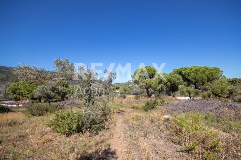 HouseFor Sale, Kalivia, Skiathos, Sporades HouseFor Sale, Kalivia, Skiathos, Sporades
