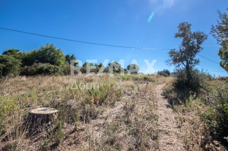 HouseFor Sale, Kalivia, Skiathos, Sporades HouseFor Sale, Kalivia, Skiathos, Sporades
