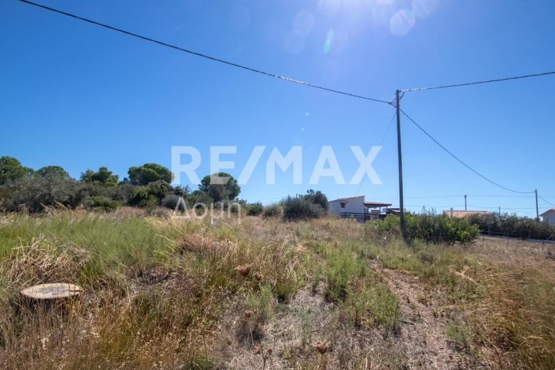 HouseFor Sale, Kalivia, Skiathos, Sporades HouseFor Sale, Kalivia, Skiathos, Sporades