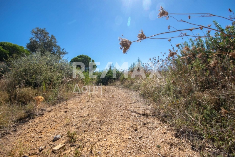 HouseFor Sale, Kalivia, Skiathos, Sporades HouseFor Sale, Kalivia, Skiathos, Sporades