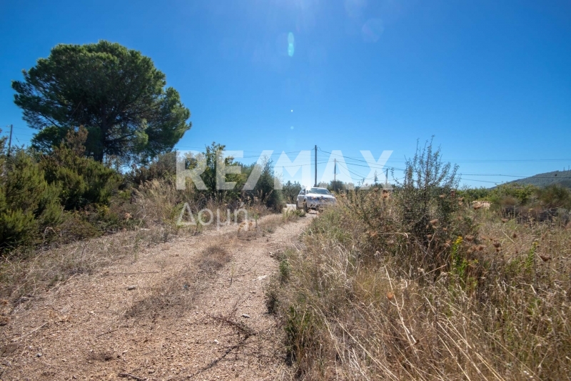 HouseFor Sale, Kalivia, Skiathos, Sporades HouseFor Sale, Kalivia, Skiathos, Sporades