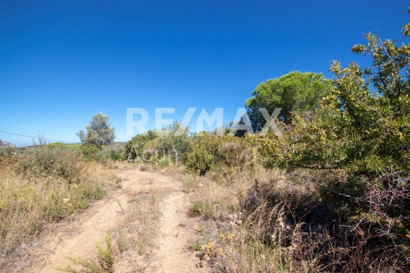 HouseFor Sale, Kalivia, Skiathos, Sporades HouseFor Sale, Kalivia, Skiathos, Sporades