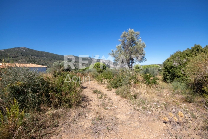 HouseFor Sale, Kalivia, Skiathos, Sporades HouseFor Sale, Kalivia, Skiathos, Sporades