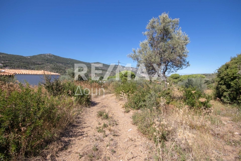 HouseFor Sale, Kalivia, Skiathos, Sporades HouseFor Sale, Kalivia, Skiathos, Sporades