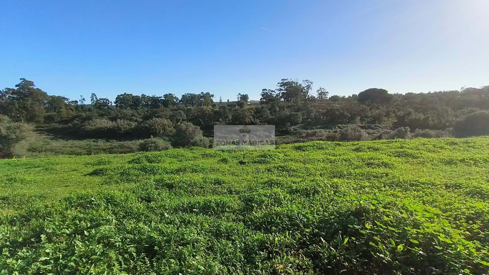Land, For Sale Land, For Sale
