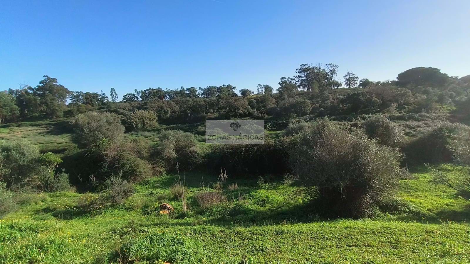 Land, For Sale Land, For Sale
