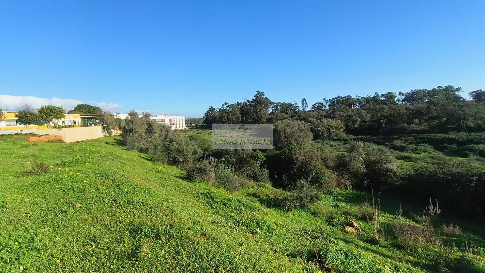 Land, For Sale Land, For Sale