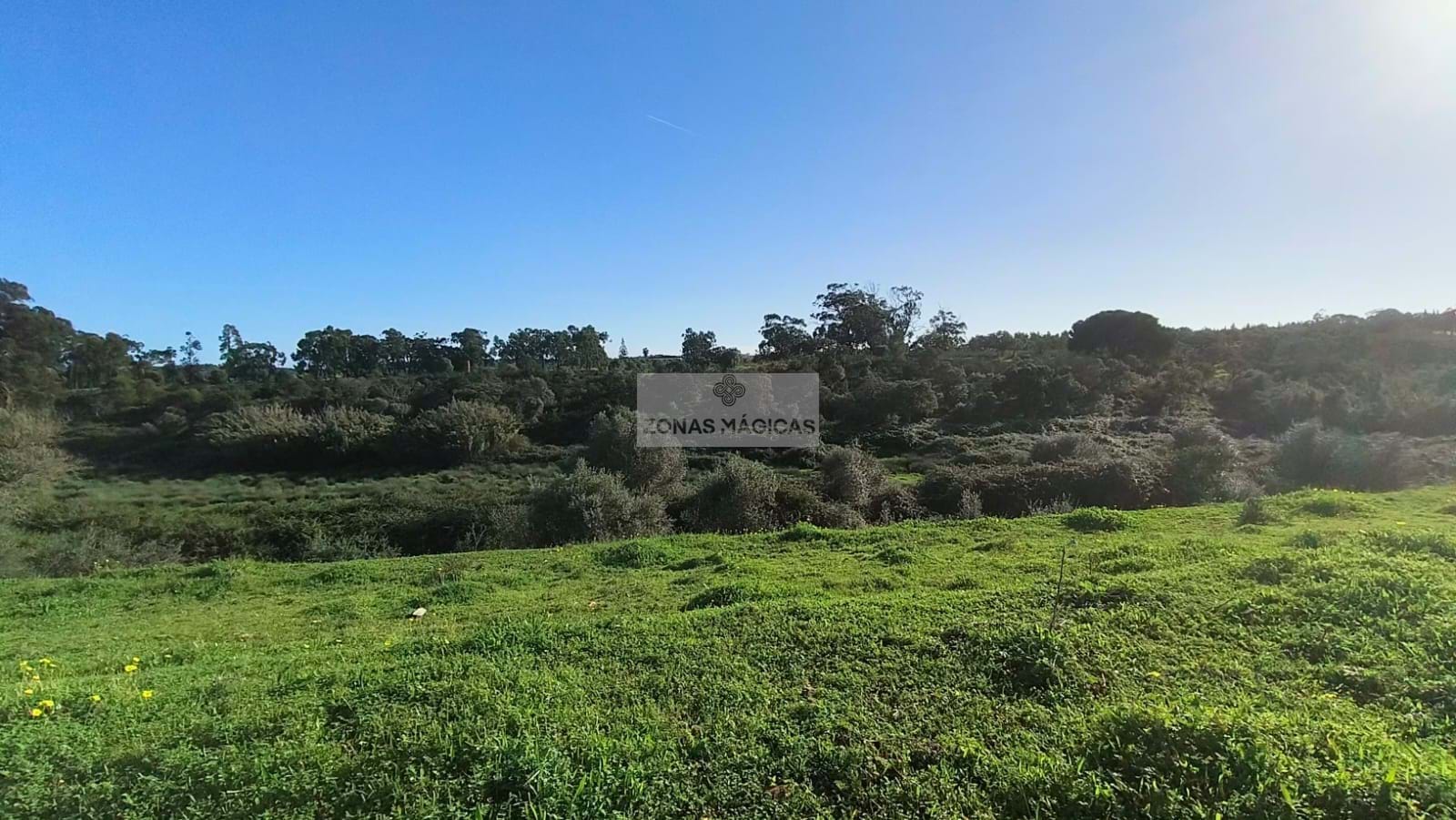 Land, For Sale Land, For Sale