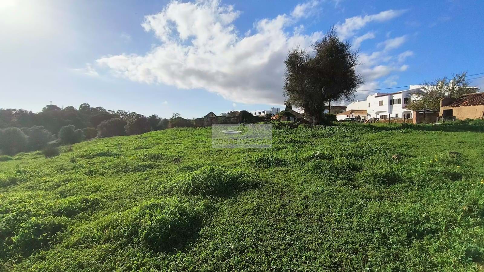 Land, For Sale Land, For Sale