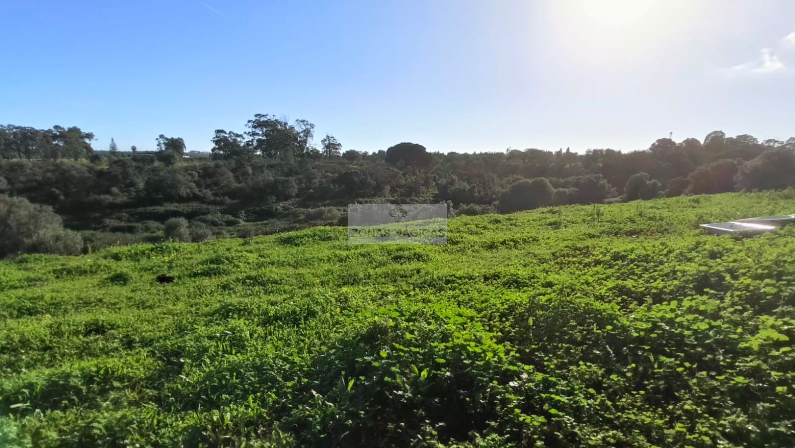 Land, For Sale Land, For Sale