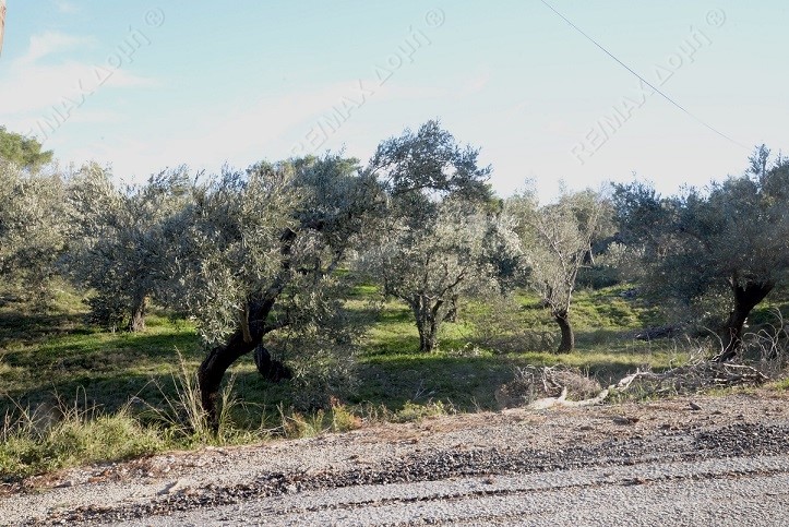 HouseFor Sale, Main town - Chora, Alonnisos, Sporades