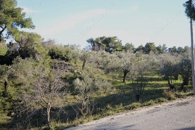 HouseFor Sale, Main town - Chora, Alonnisos, Sporades