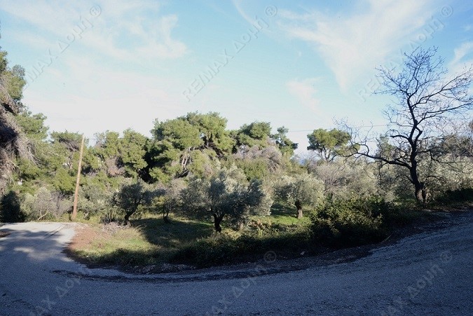 HouseFor Sale, Main town - Chora, Alonnisos, Sporades